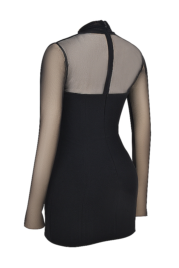 Holly  Black Plunge Mini Dress — image 15