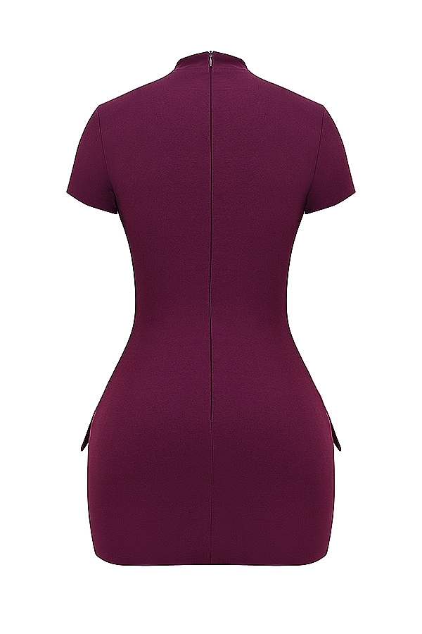 Alia  Mulberry Mini Dress — image 19