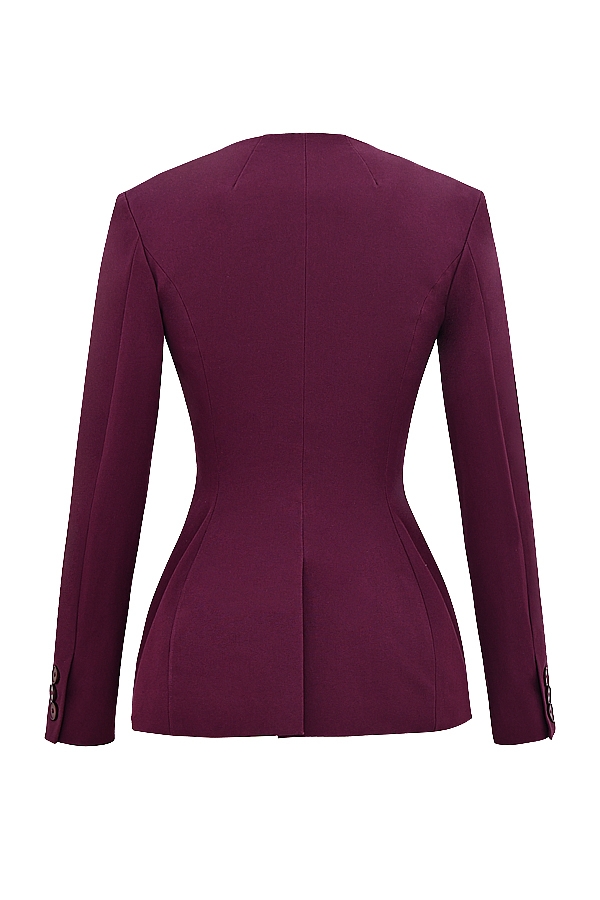 Theodora  Wine Deep V Blazer — image 13