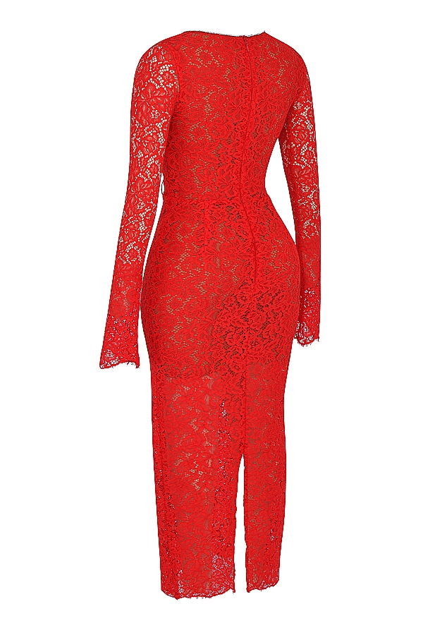 Lisandra  Red Lace Maxi Dress — image 13