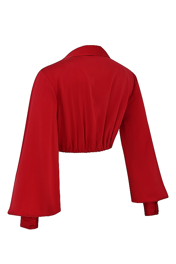 Laraine  Cherry Silk Blouson Top — image 13