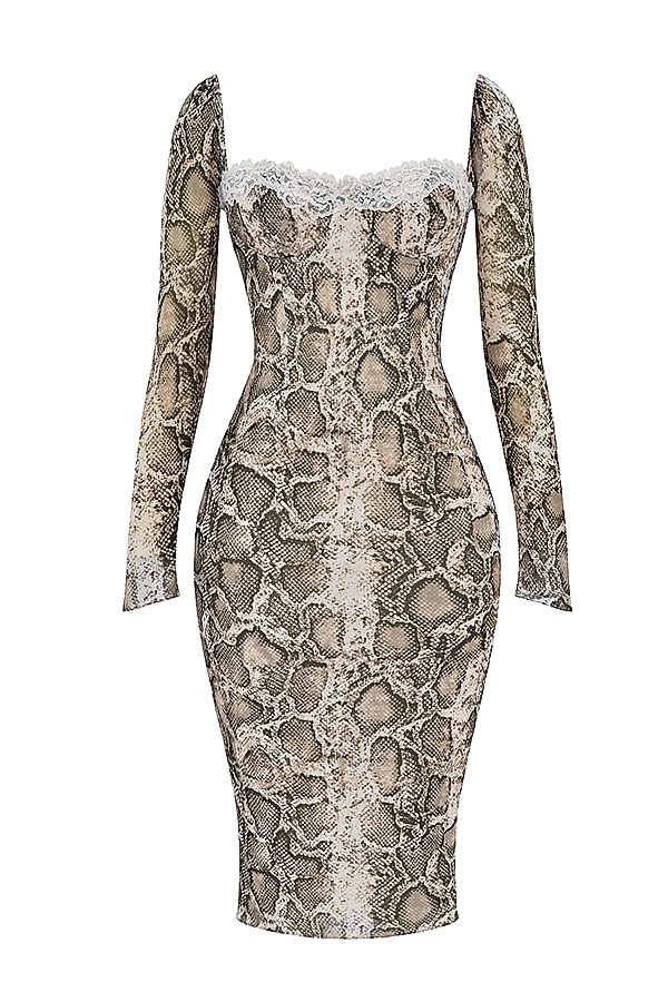 Seraphina  Snake Print Corset Dress — image 13